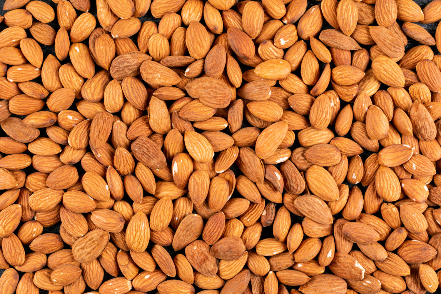 Almond roasting machine for dry fruit processing industries in Maharashtra and Delhi