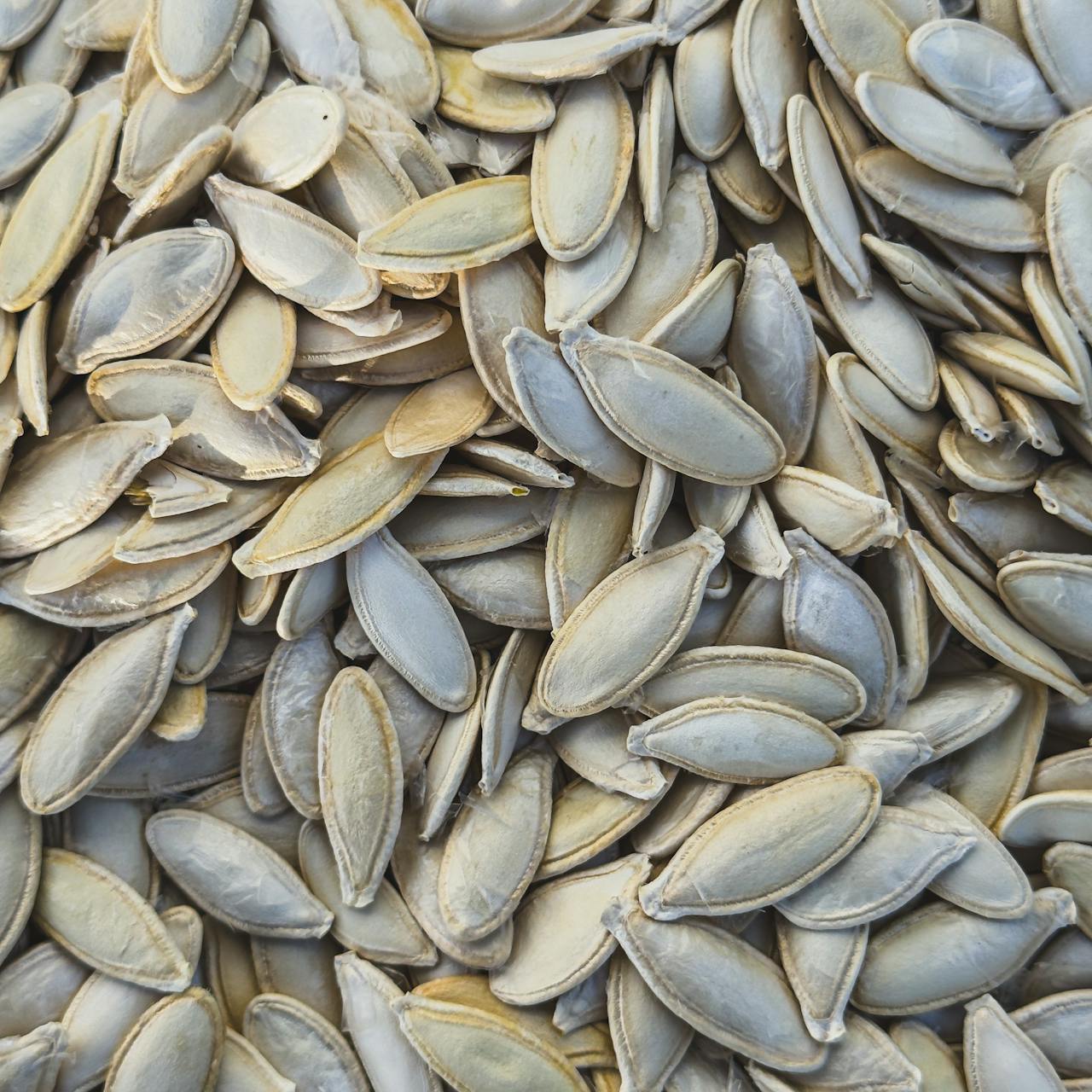Flake seed roasting machine for commercial food processing in Kerala and Gujarat